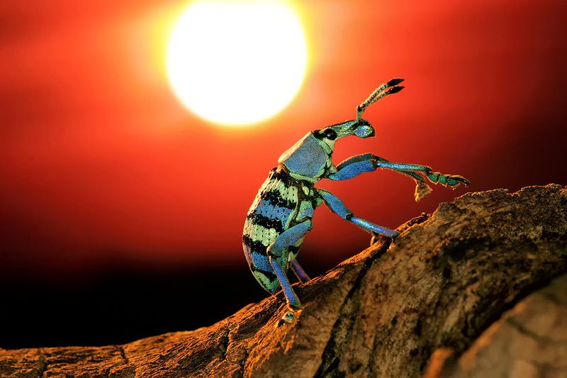 Západ slunce фото превью