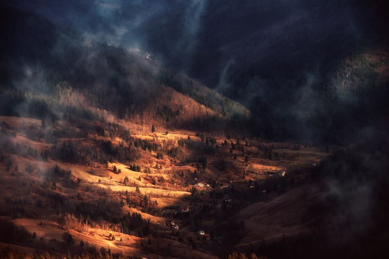 Shadow фото превью