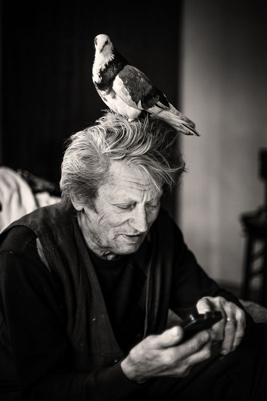 В сети... фото превью