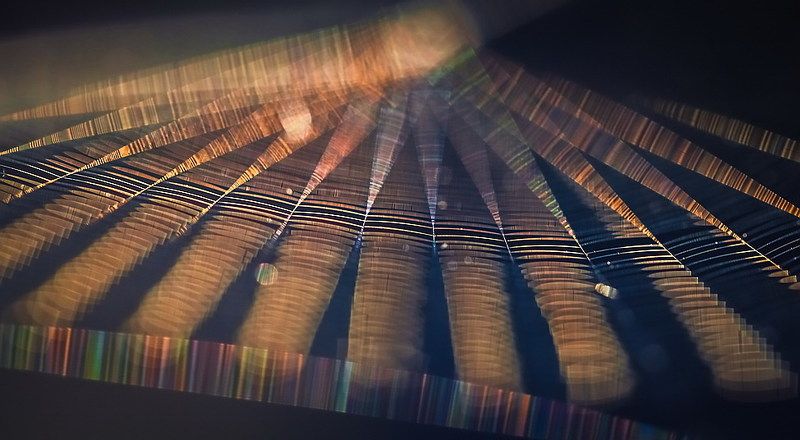 Метаморфозы на тему паутины фото превью