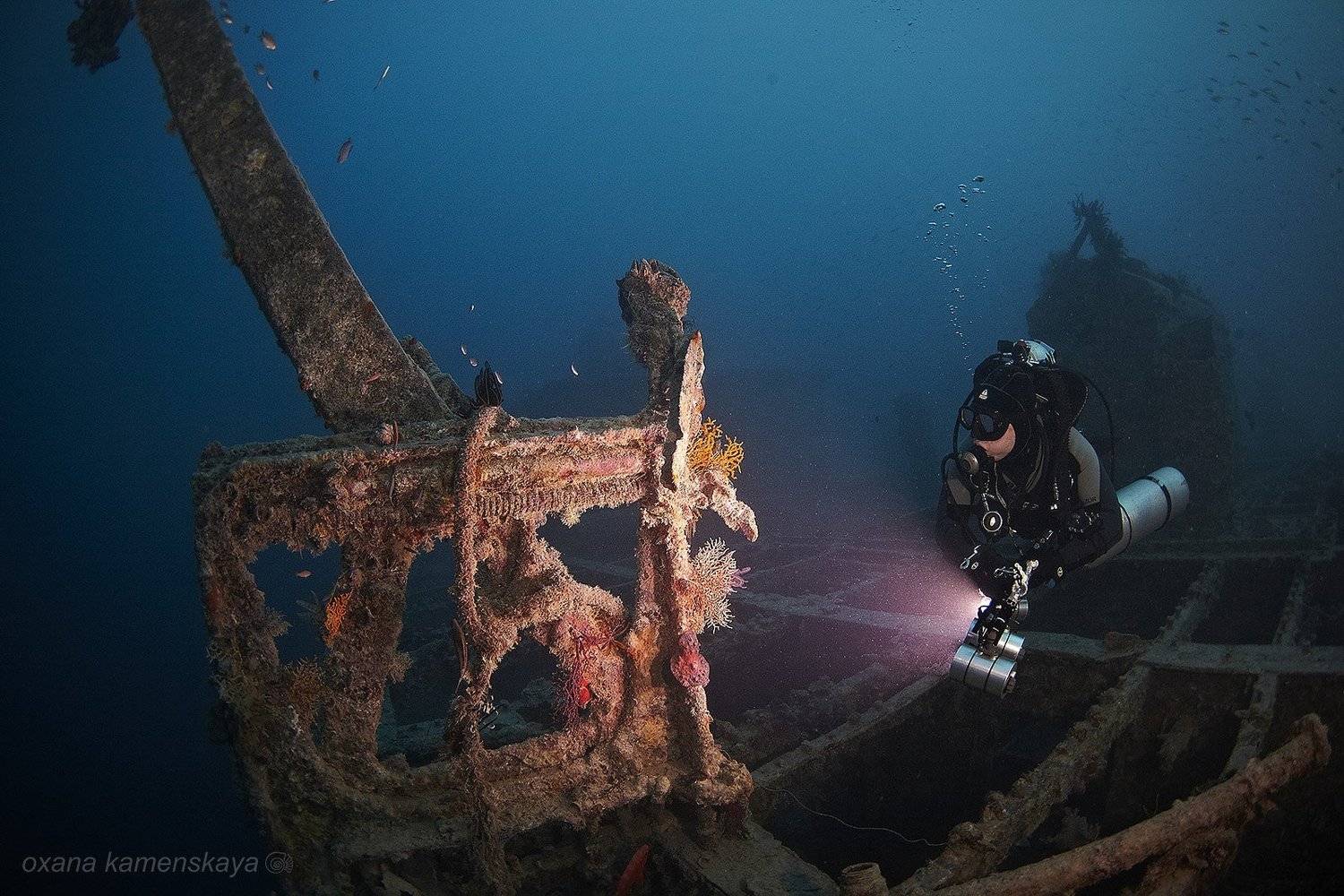 , Оксана Каменская