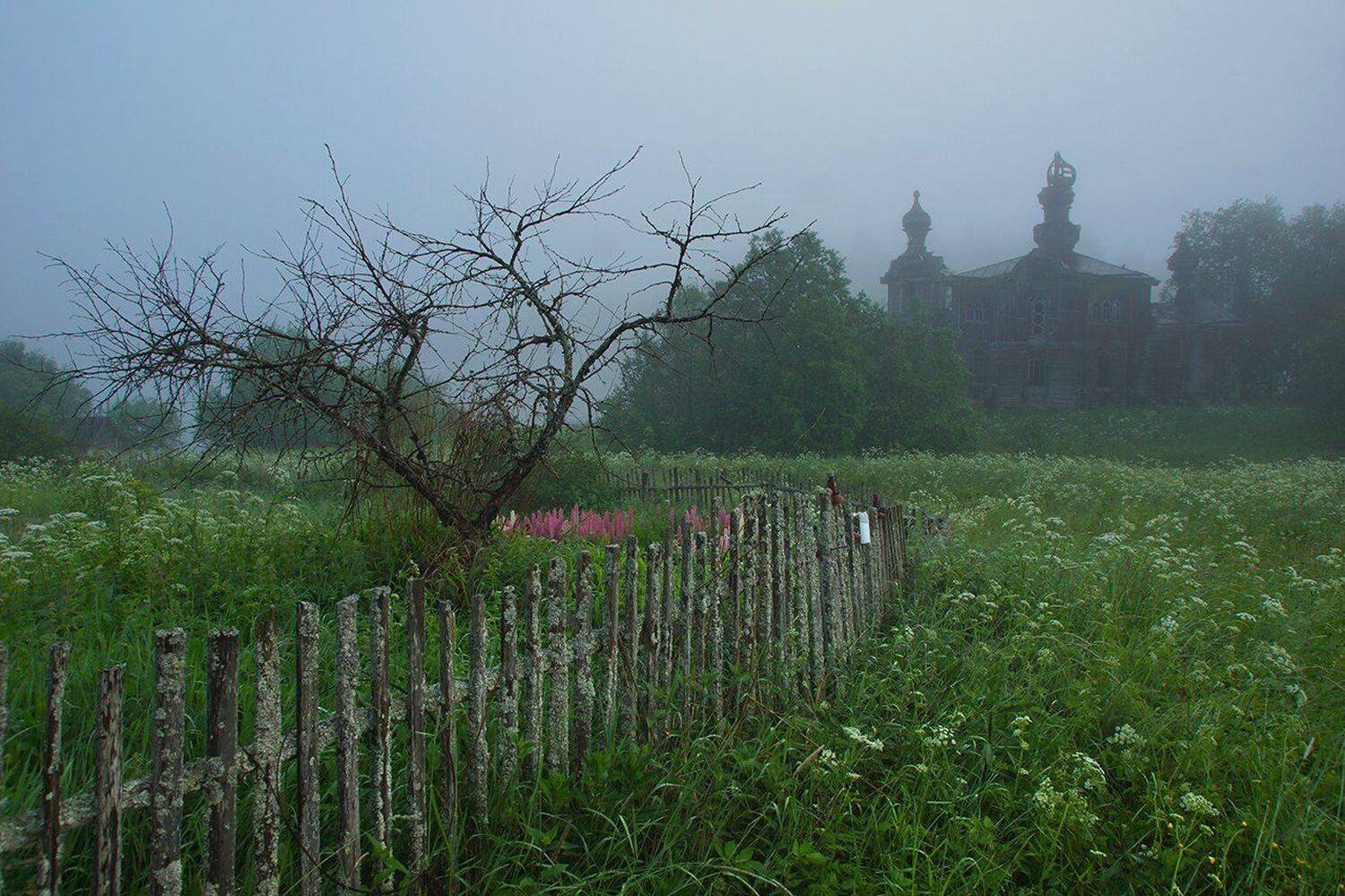 церковь, утро, Петр Косых