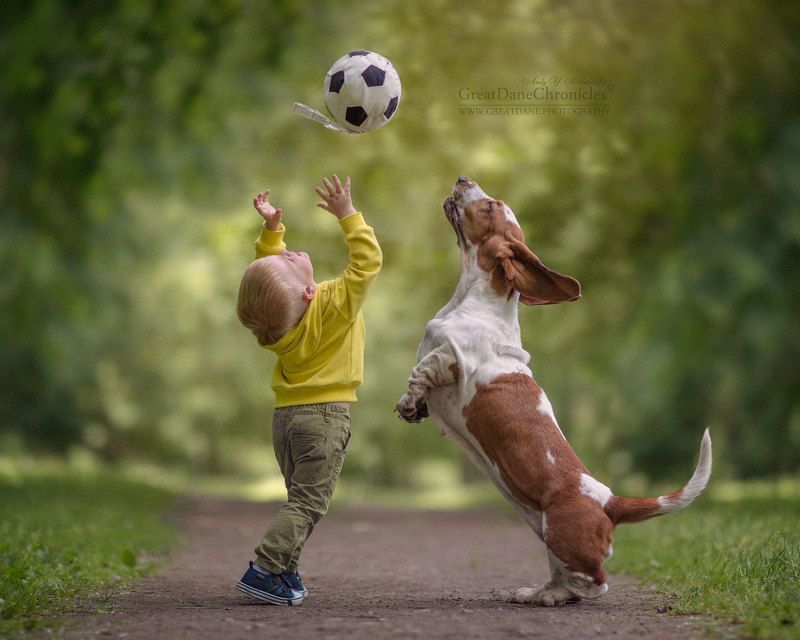 Young Football Stars фото превью