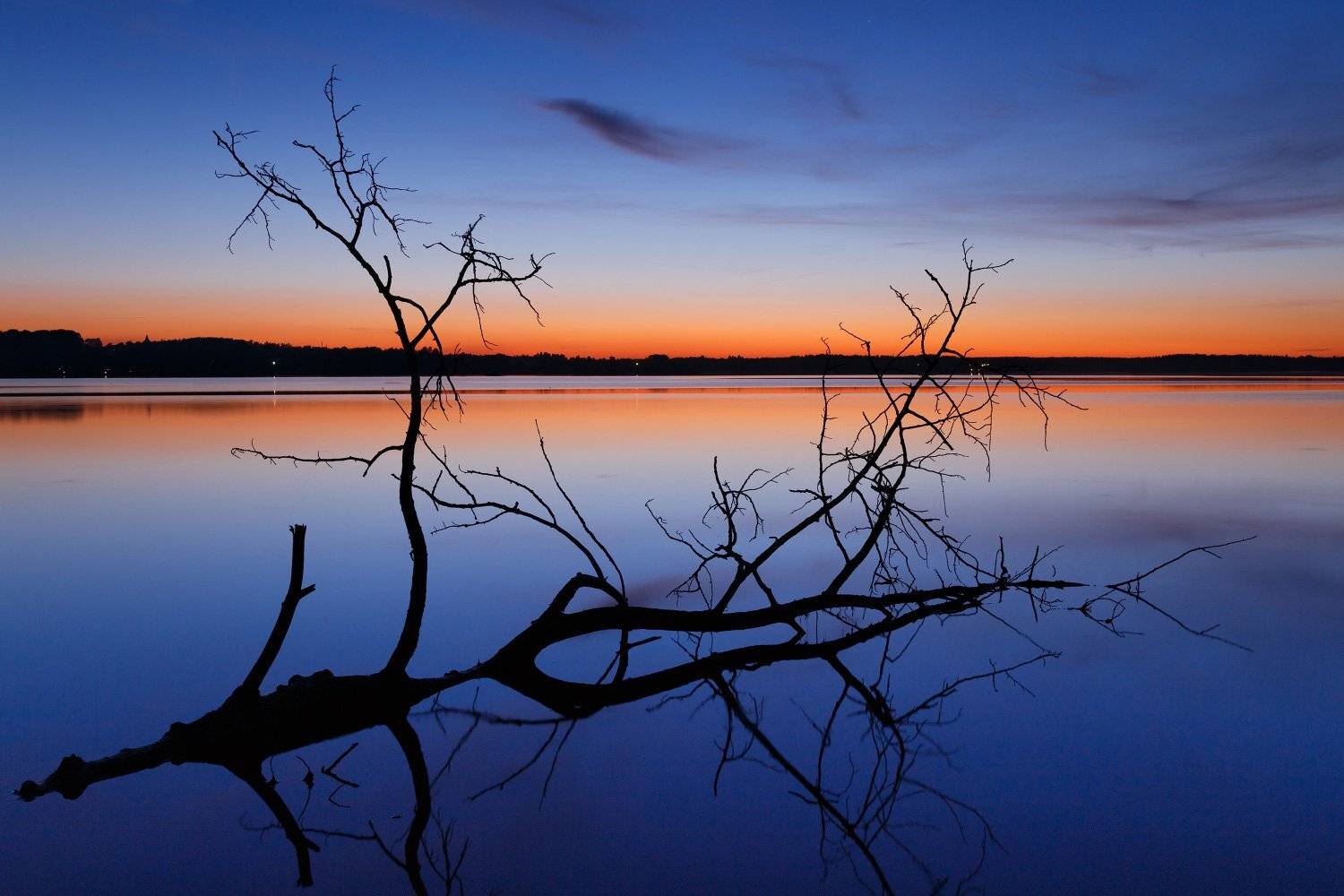 валдай, Тимофей Шутов