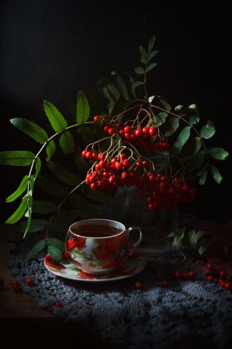 с веткой рябины