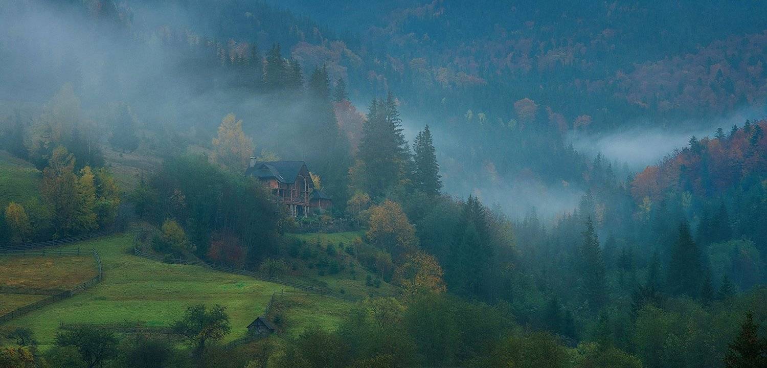 лес, горы, туман, осень, Вьюшкин Игорь