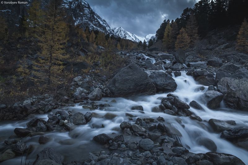 алтай, горы, горный алтай, осень. сентябрь Вечер в ущелье Актру фото превью