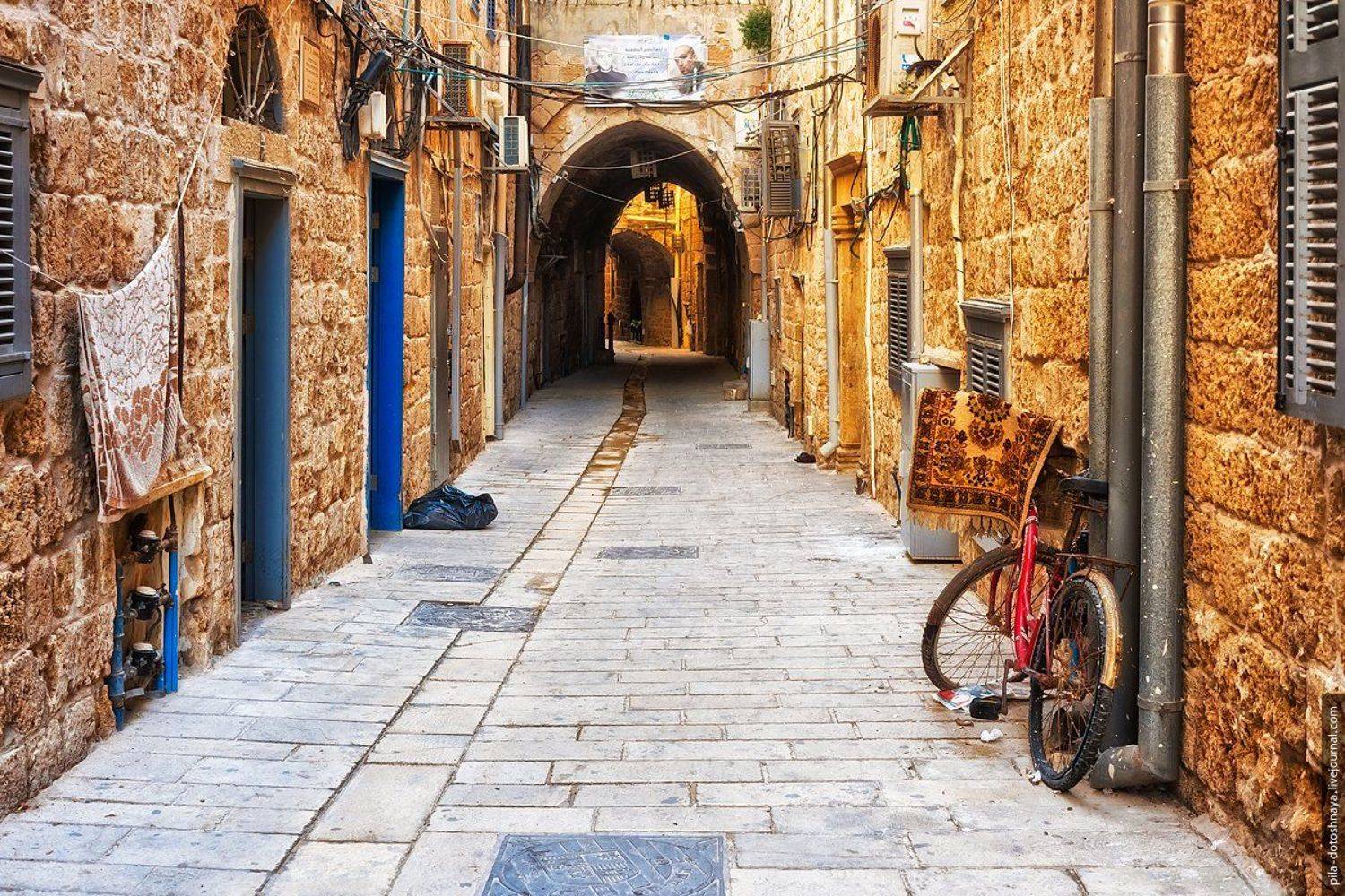 , Анна Аринова