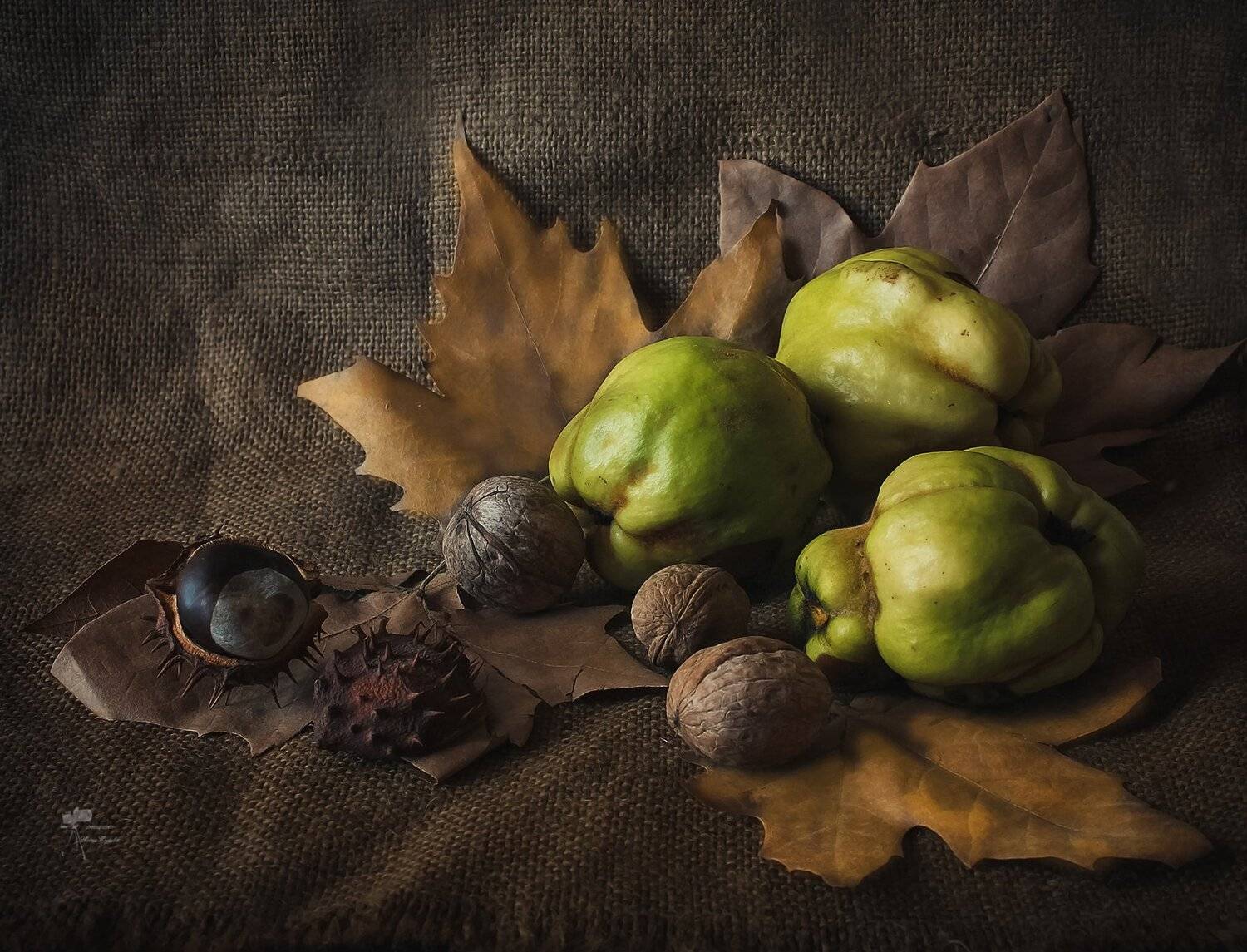 , Инна Сухова