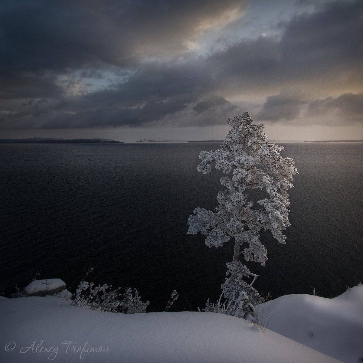 , Алексей Трофимов