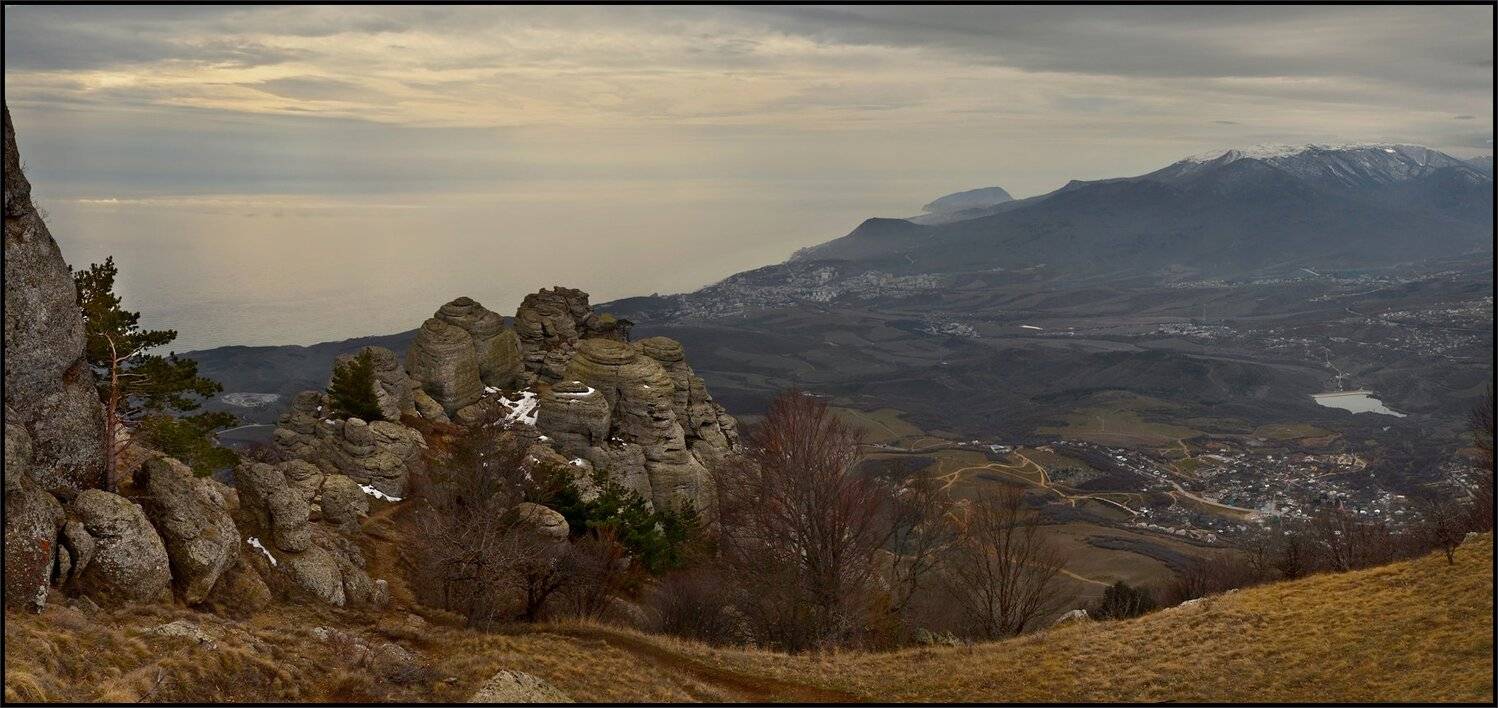 , Владимир Метцгер