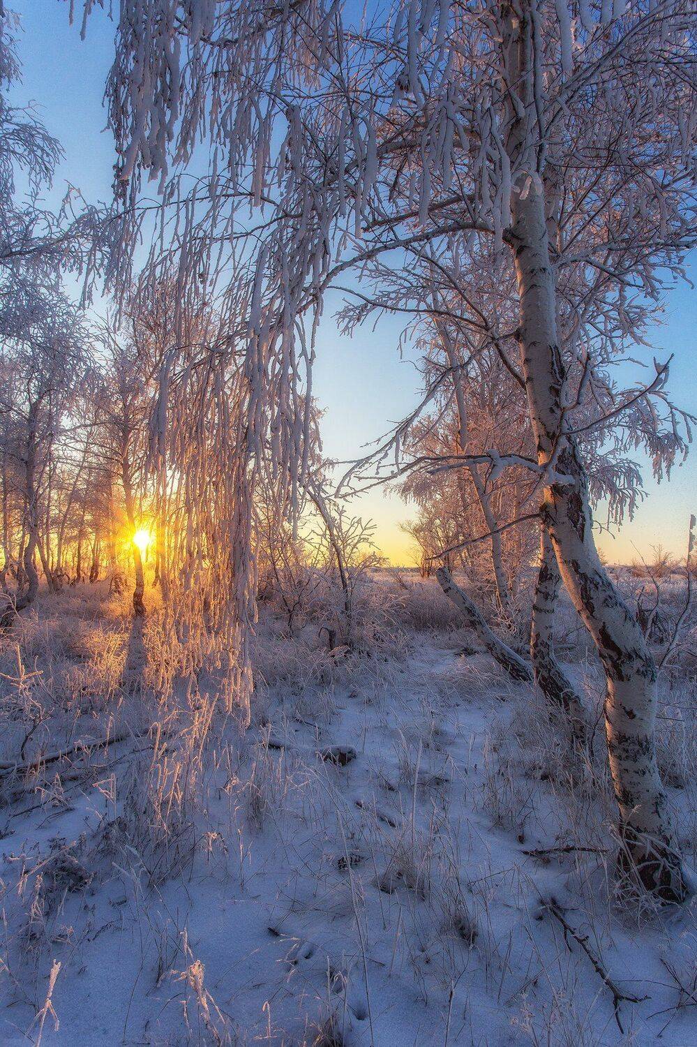 , Павел Сагайдак