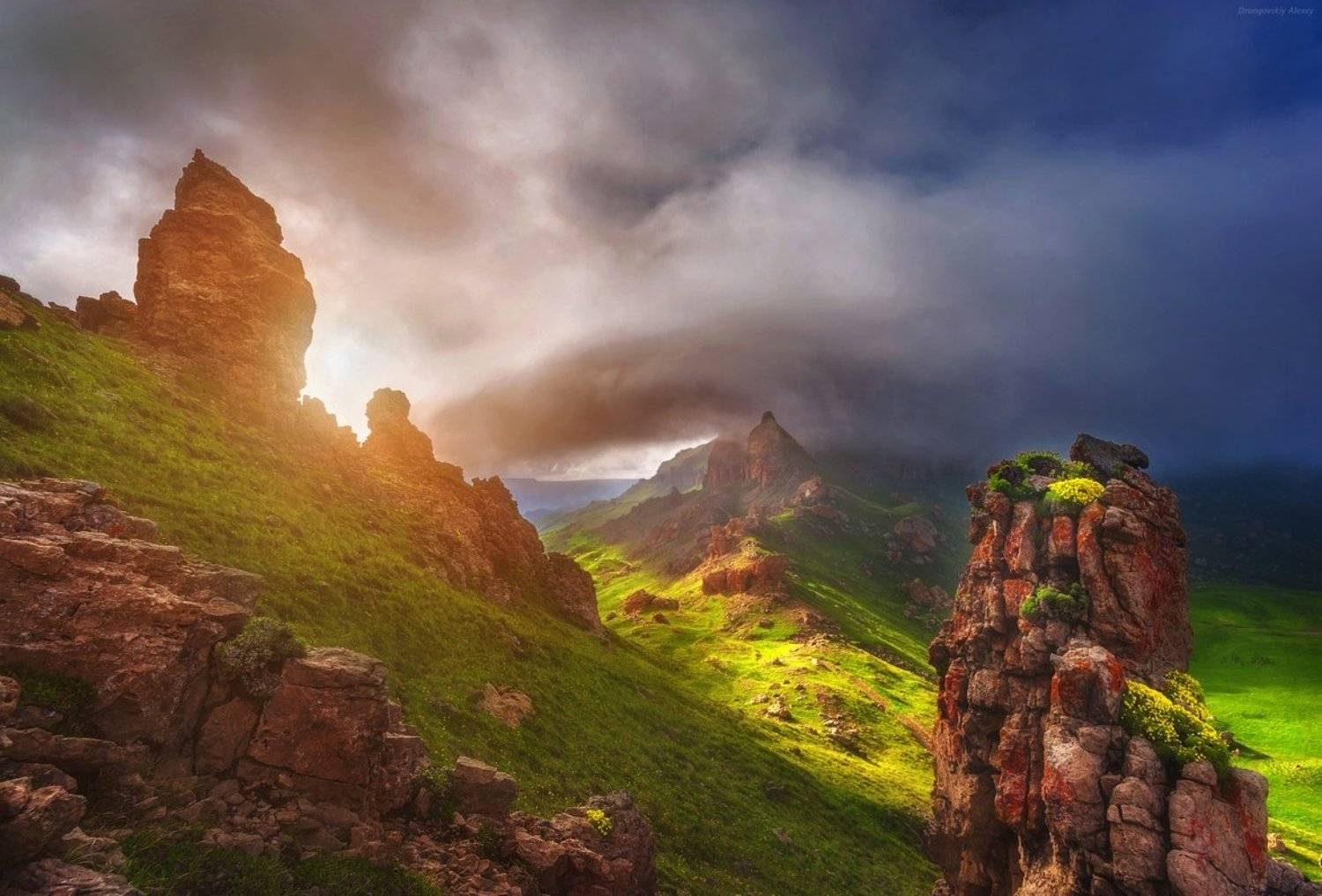 , Алексей Дранговский