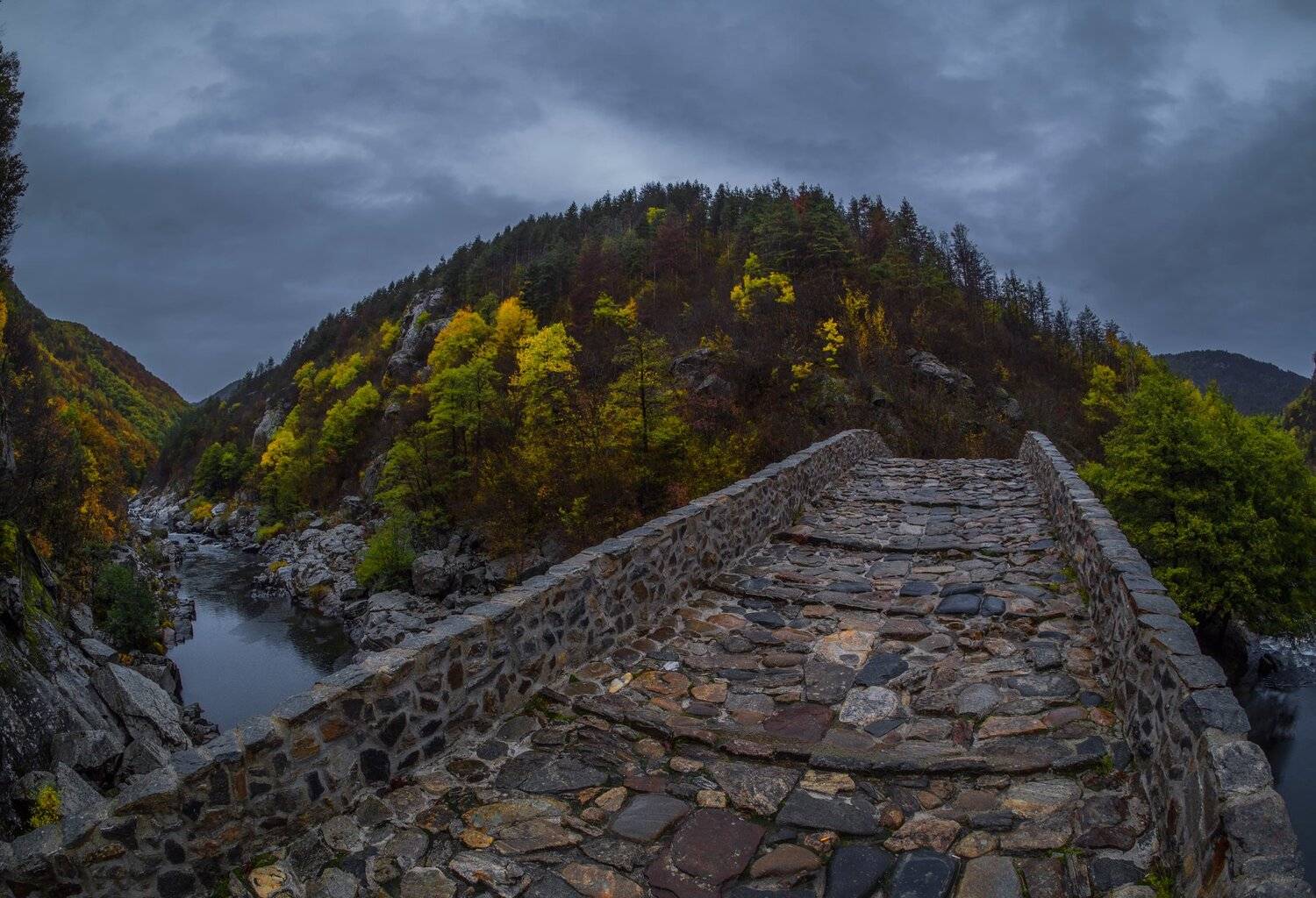 , Димитър Стоянов