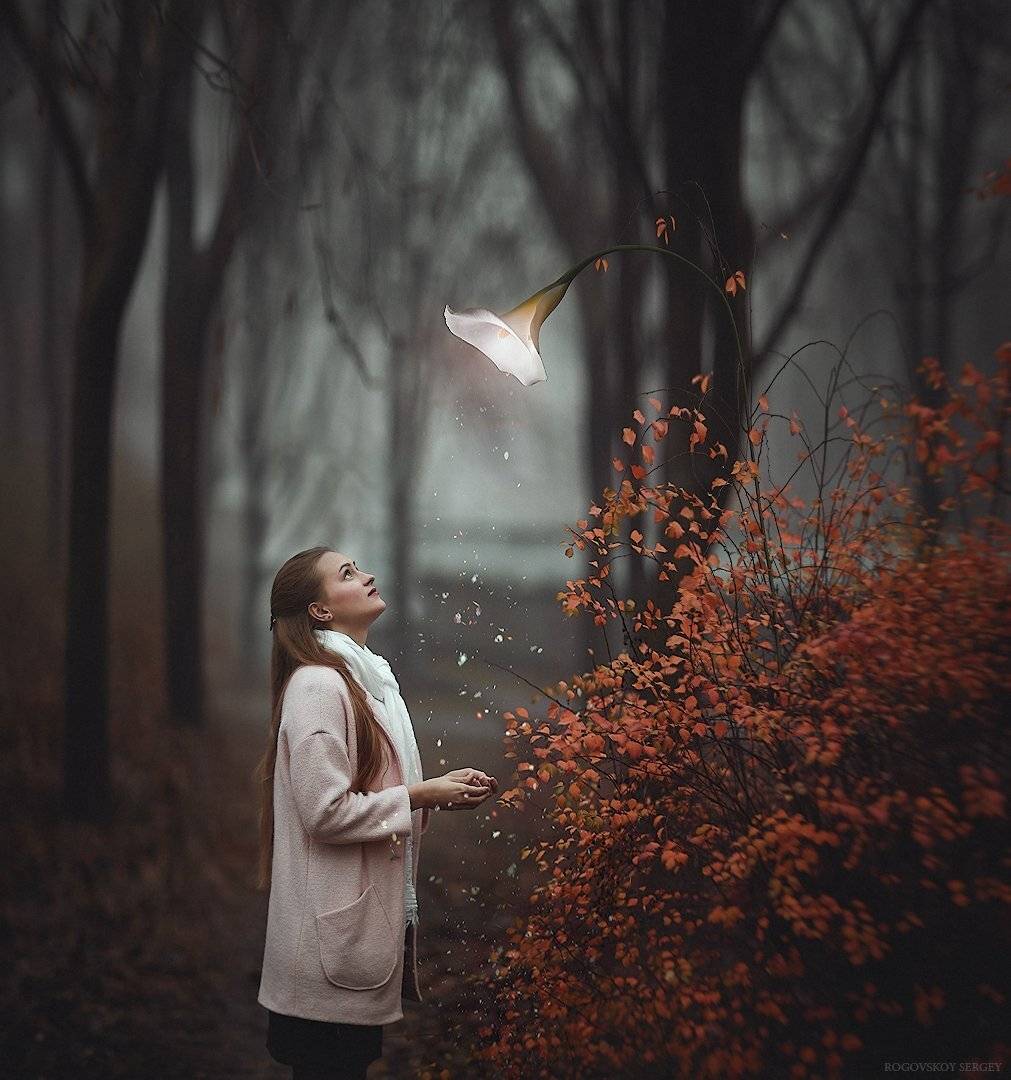 , Роговской Сергей