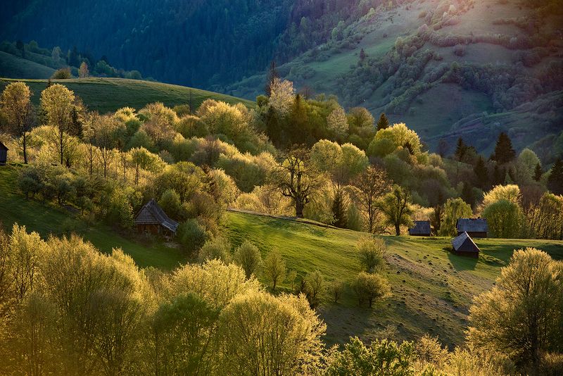 Карпатский мотив фото превью