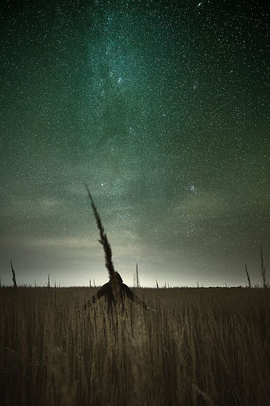 Меланхолия фото превью