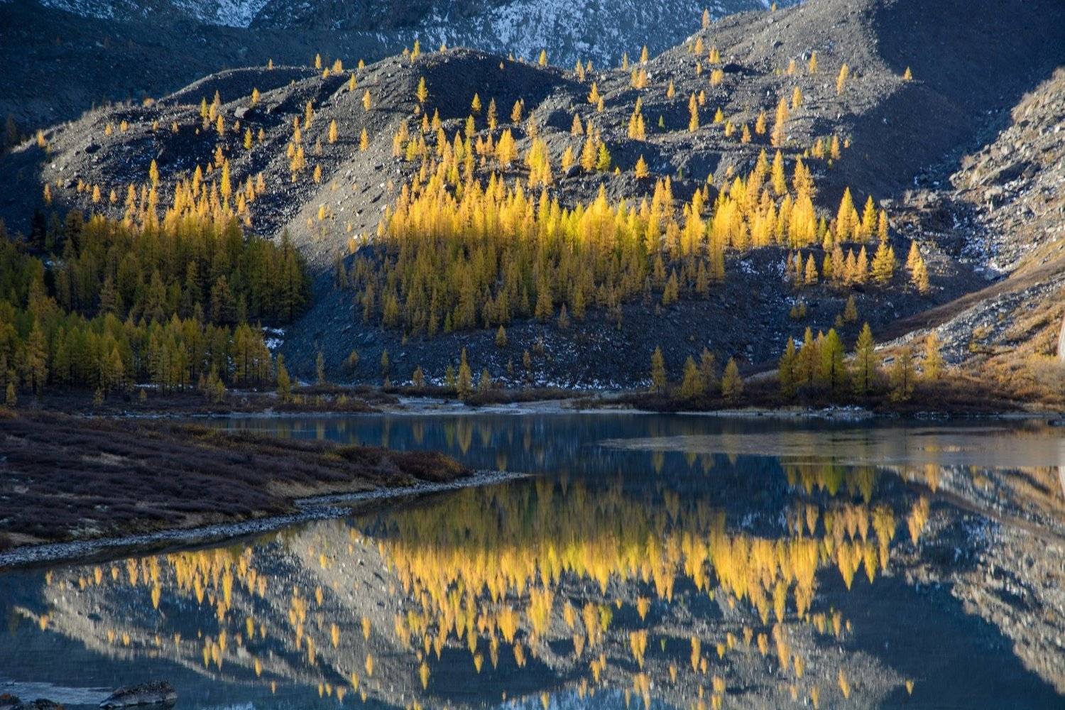 алтай,осень, Алексей Кретов