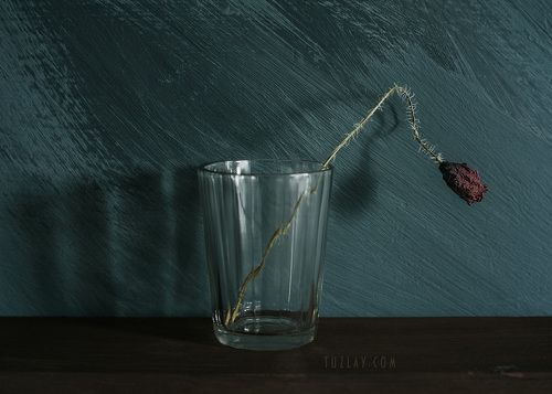 Минимализм стеклянного стакана