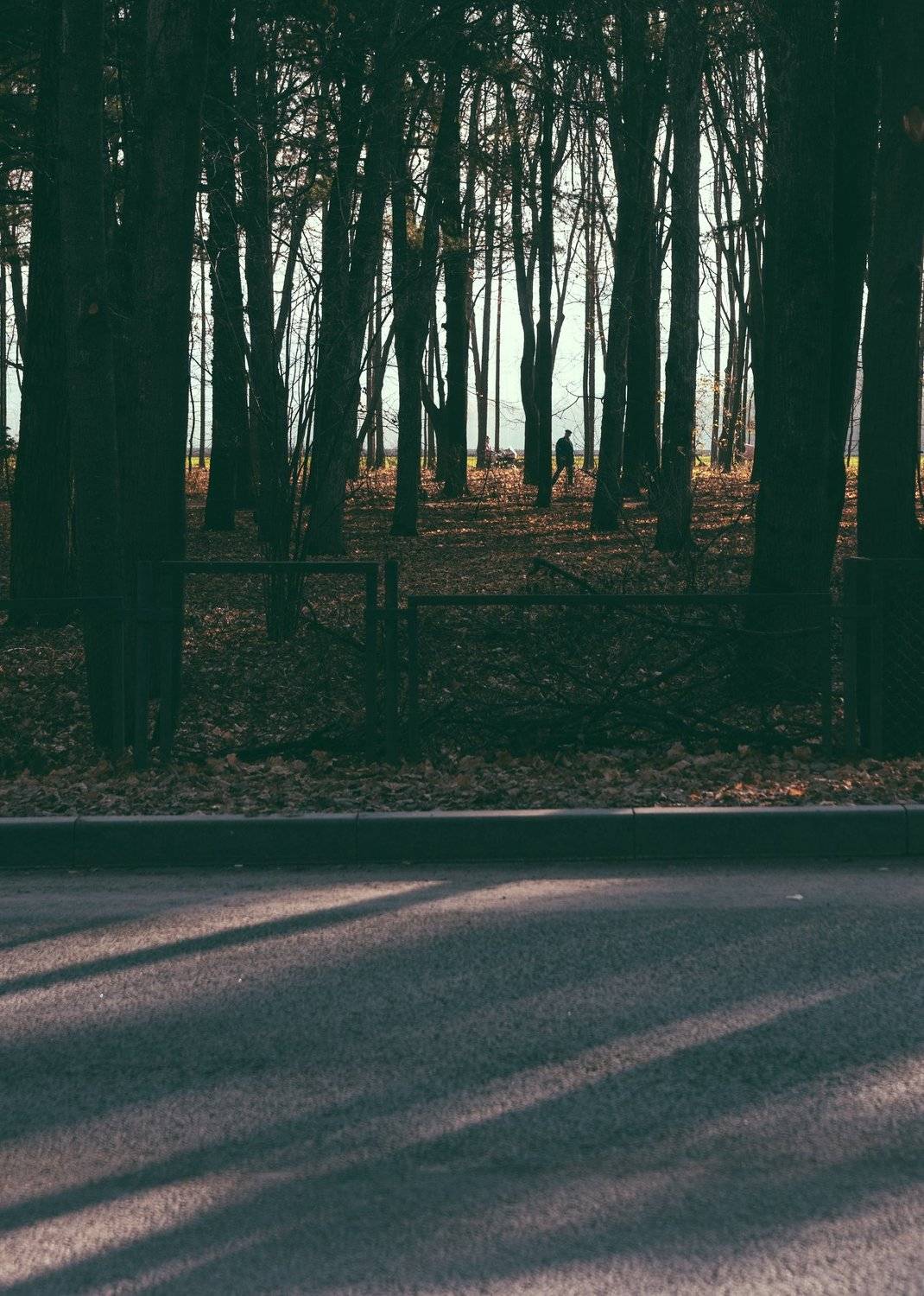 , Астрид Екатерина