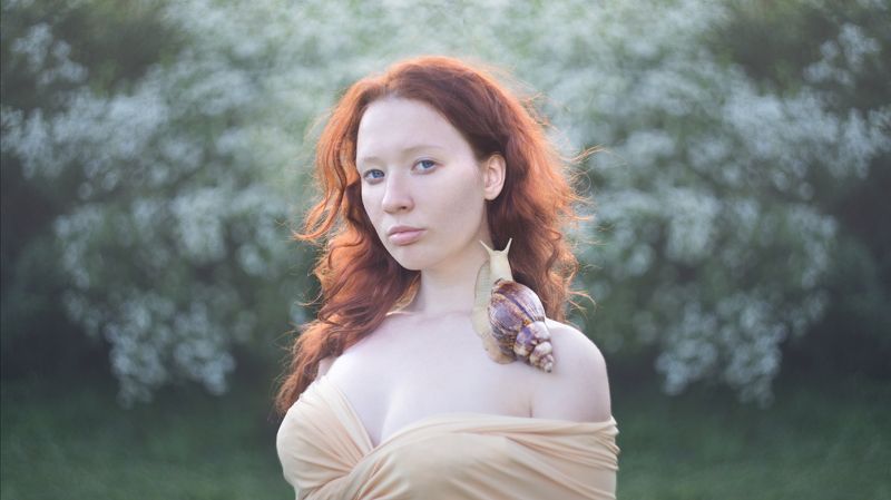 улитка, ахитина, рыжая девушка Ахатина фото превью