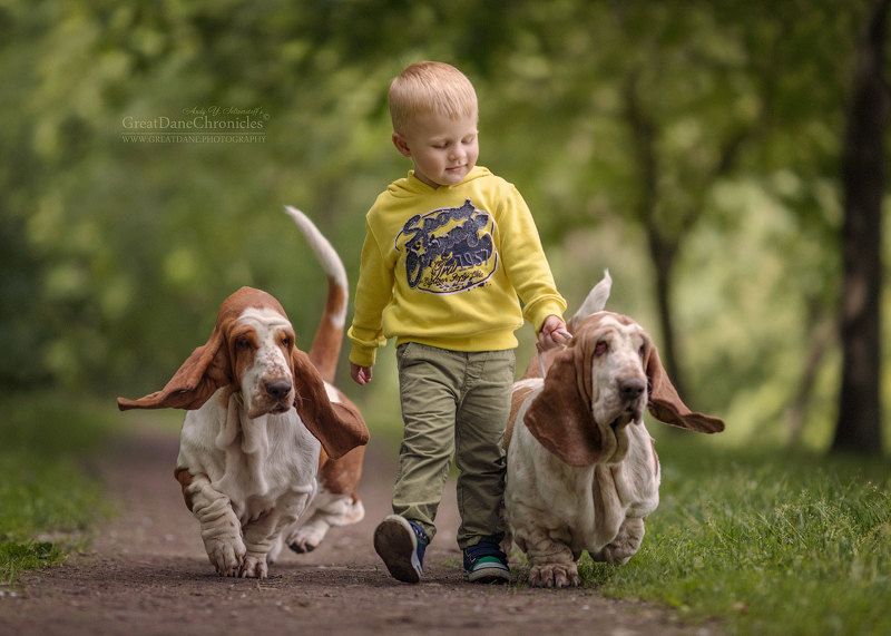 On a Walk фото превью