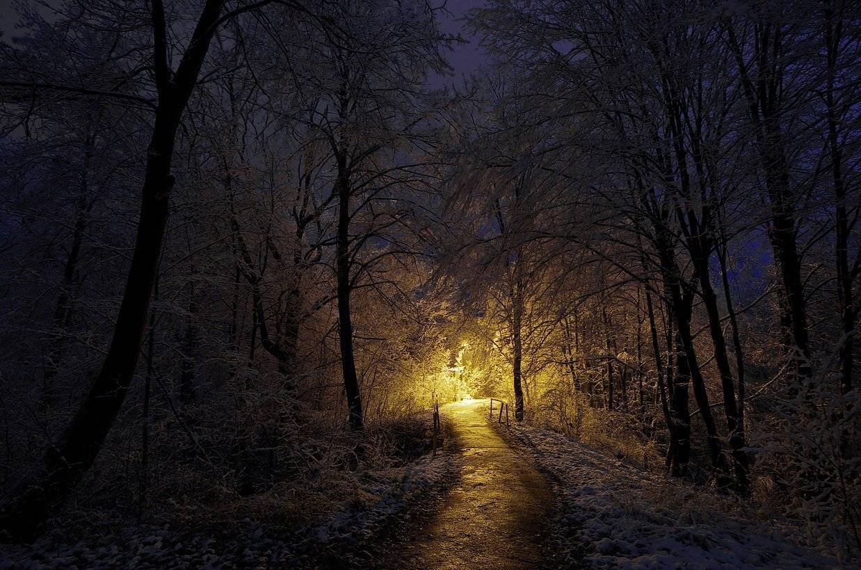 , Сергей Шляга