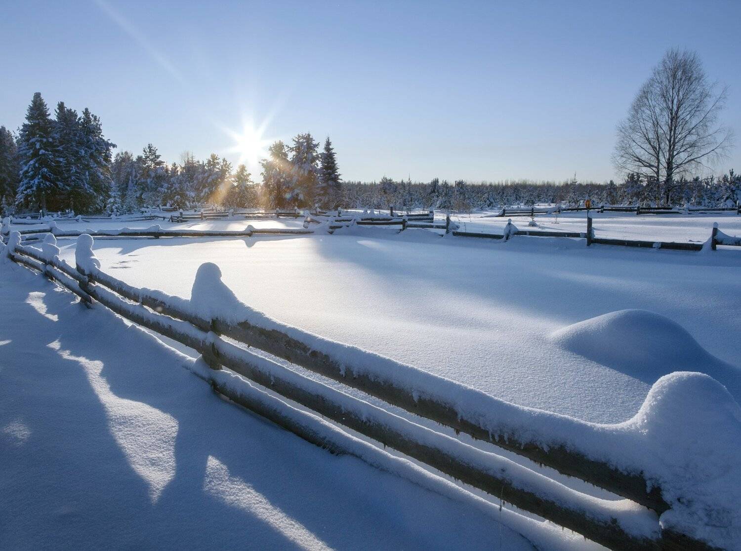 , Федотов Сергей