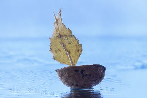 Он бежит себе в волнах на раздутых парусах