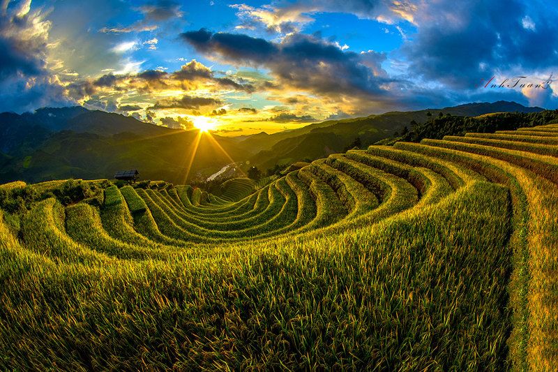Sunset Sang Nhu фото превью