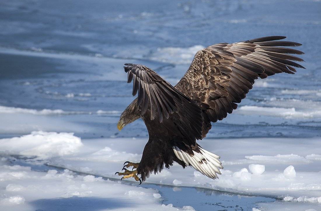 , Евгений Слободской