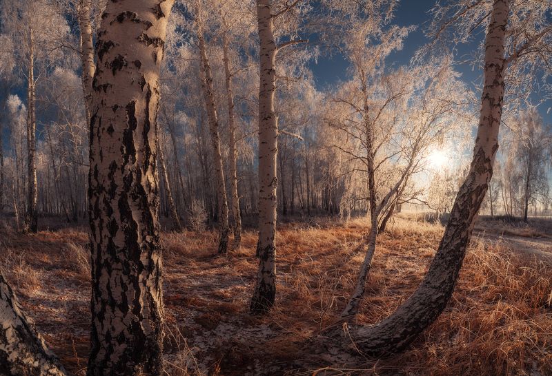 Морозный звон фото превью