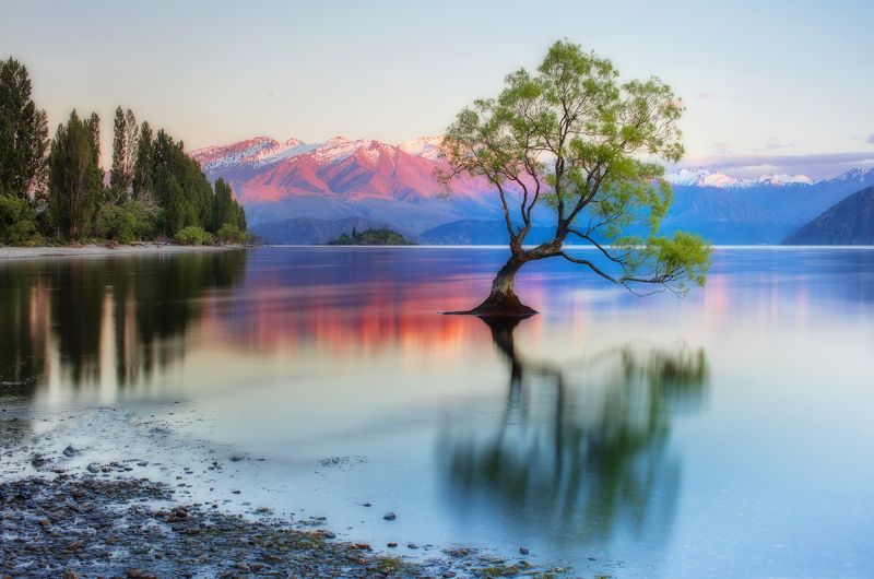 new zealand, south island, wanaka lake Outcast фото превью