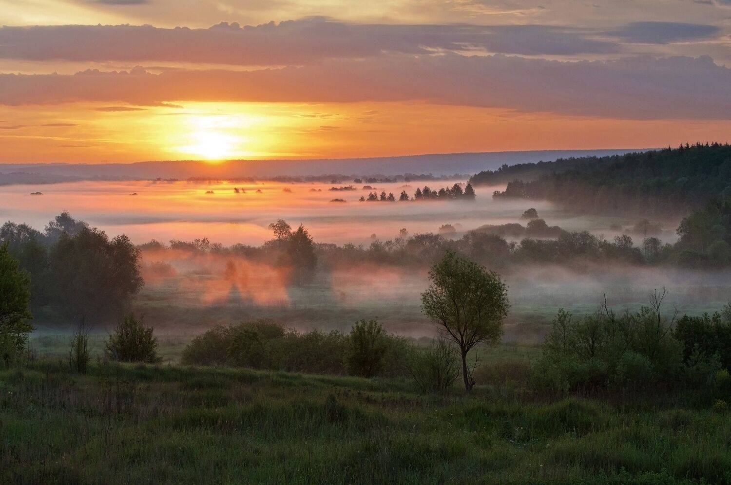 , Макеев Алексей