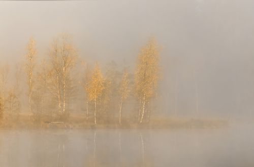 ... тишина