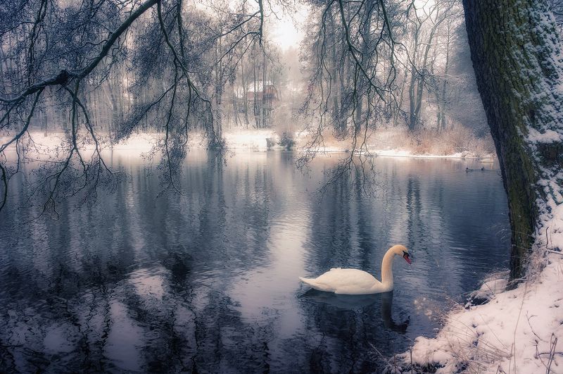 Winter tales фото превью