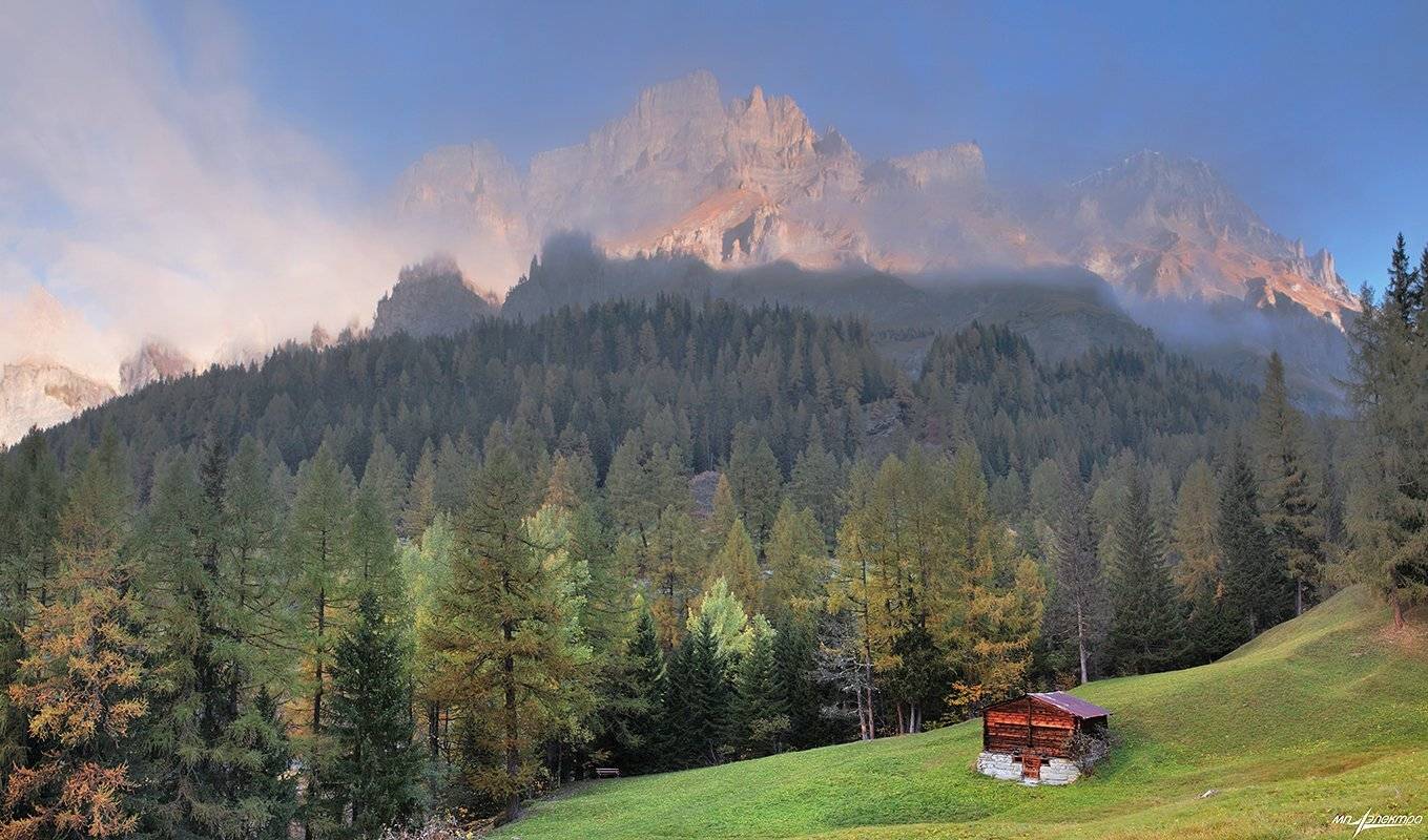 swiss, Матвеев Николай