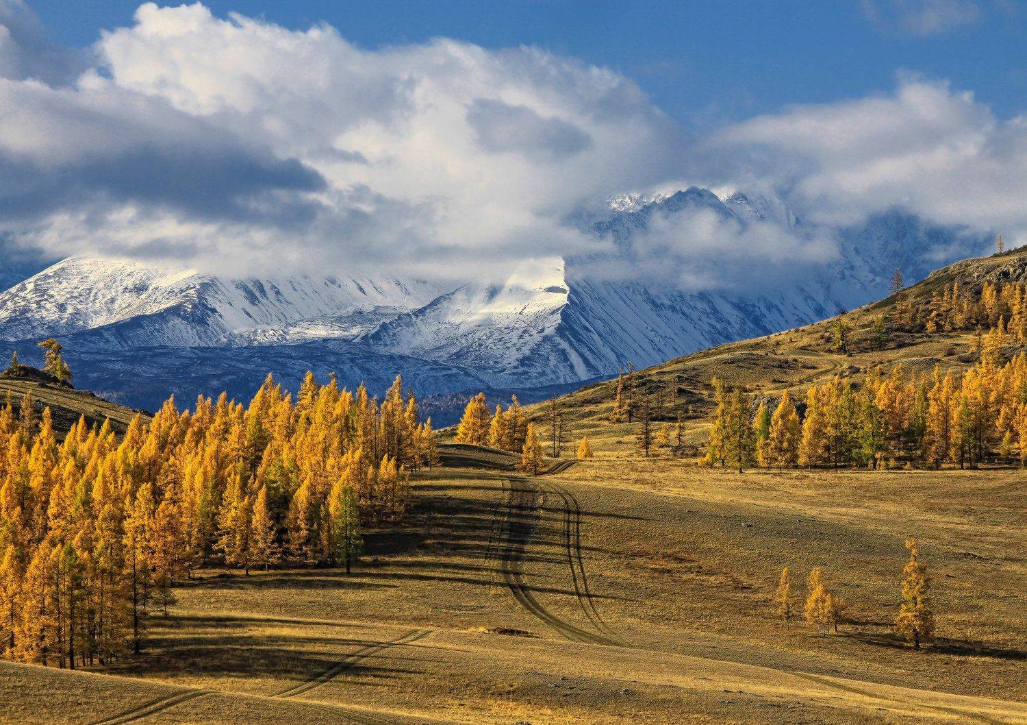 алтай, горный алтай, курай, осень, горы, северо-чуйский хребет, Галина Хвостенко