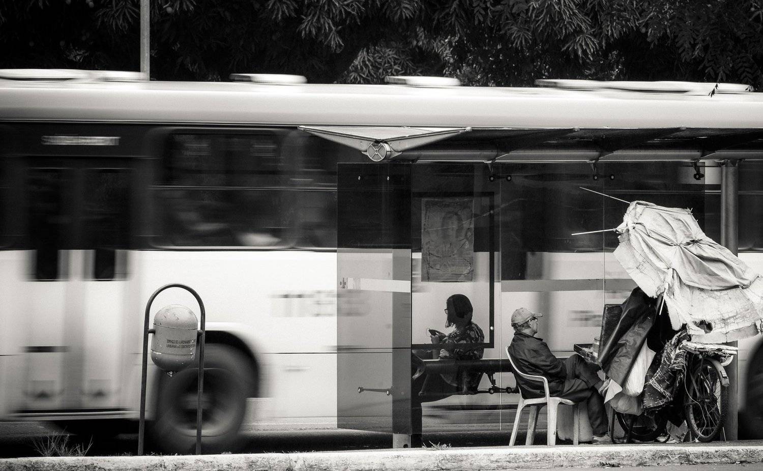 , francisco willian saldanha