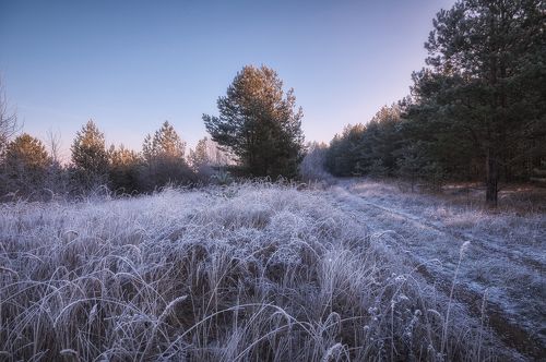 Первая седина