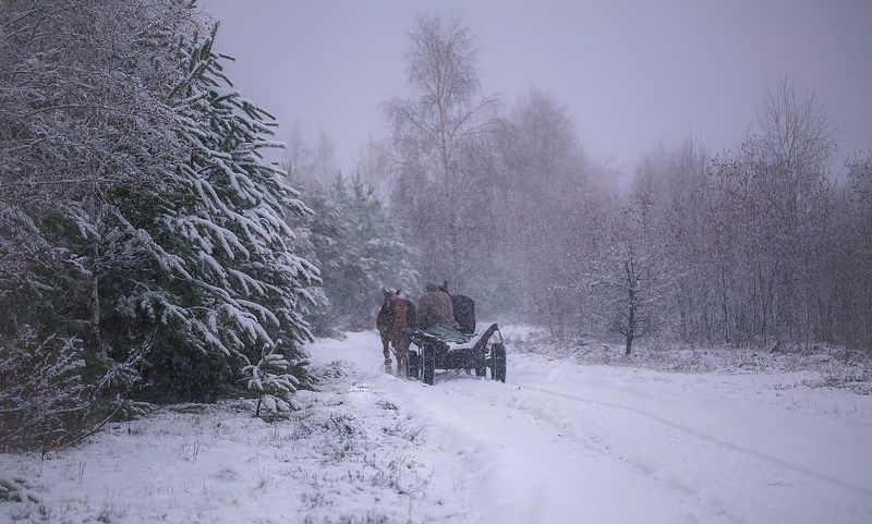 По снегу летящему с неба... фото превью