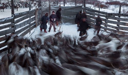 Вакцинация