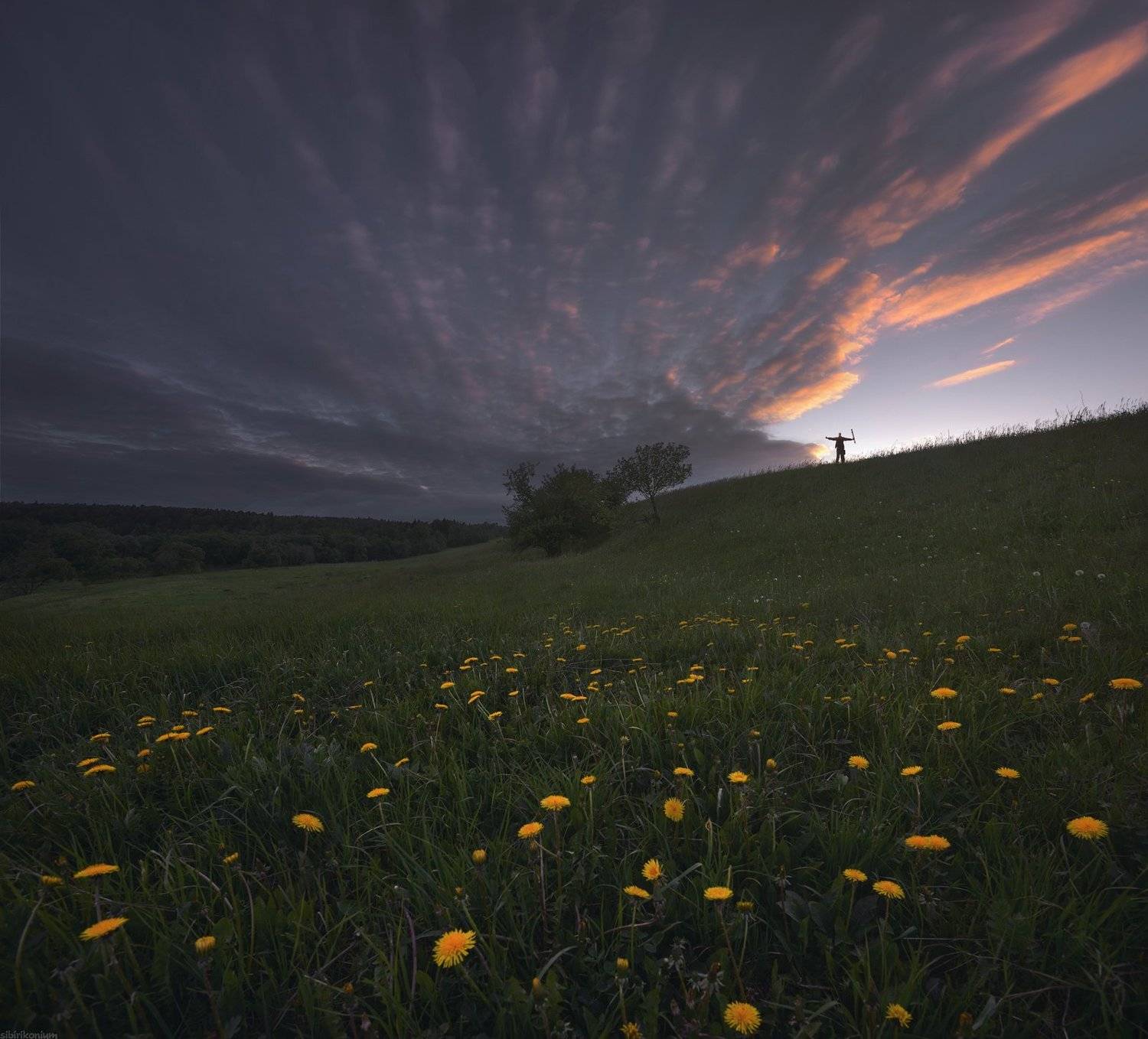 рассвет пейзаж поле, Морозов Юрий