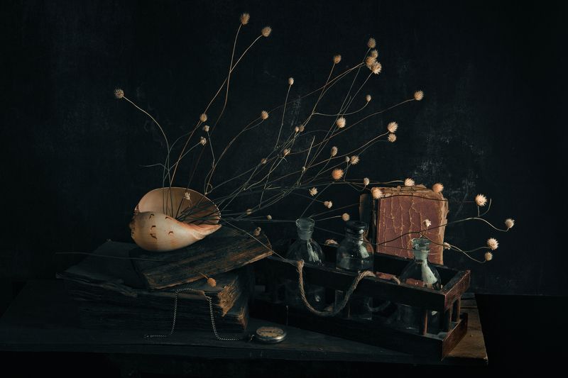 ракушка, бутылки, стекло, книги, часы, карманные часы, старые, сухоцвет, натюрморт with sea shell фото превью