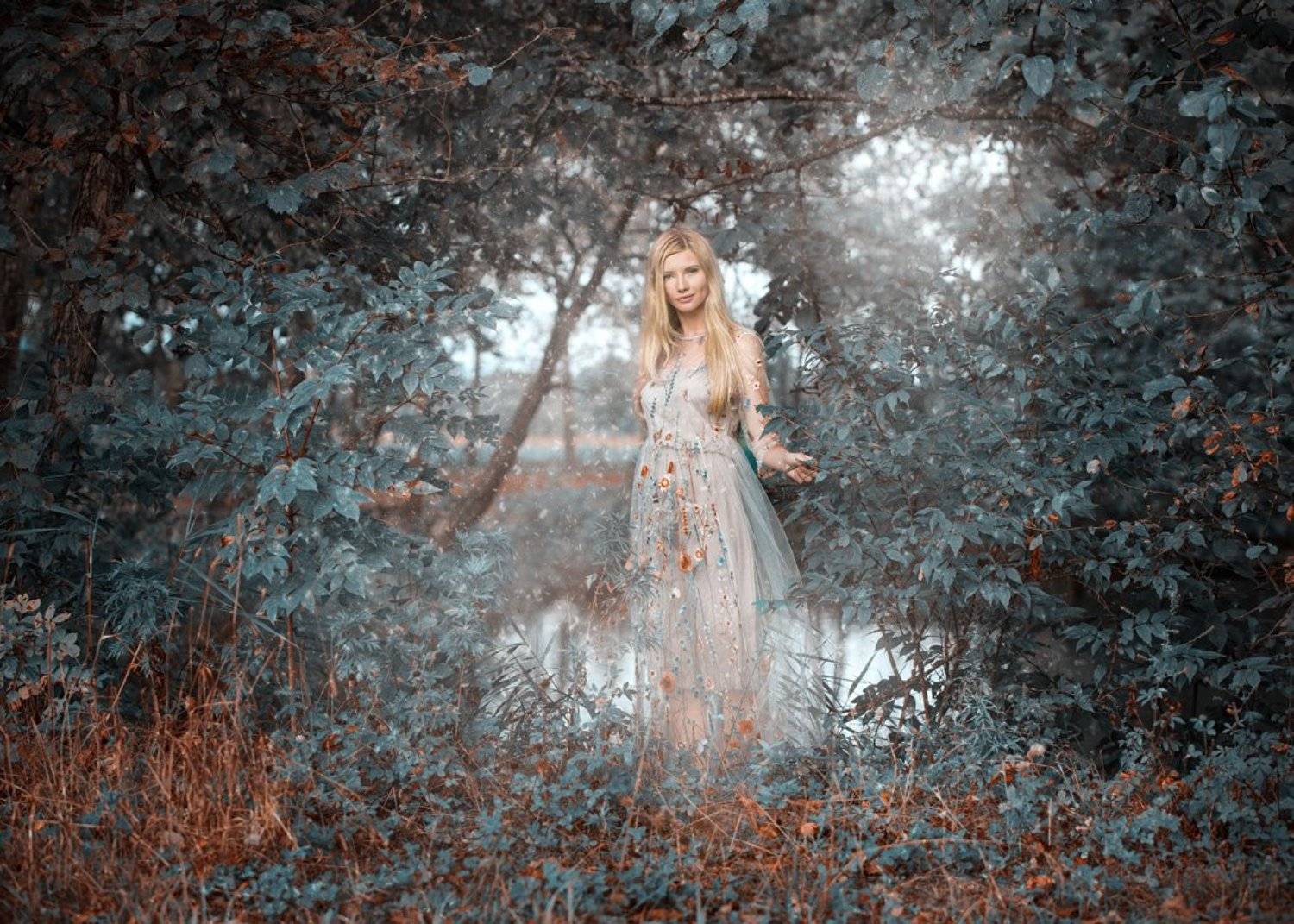 , Треьяков Денис