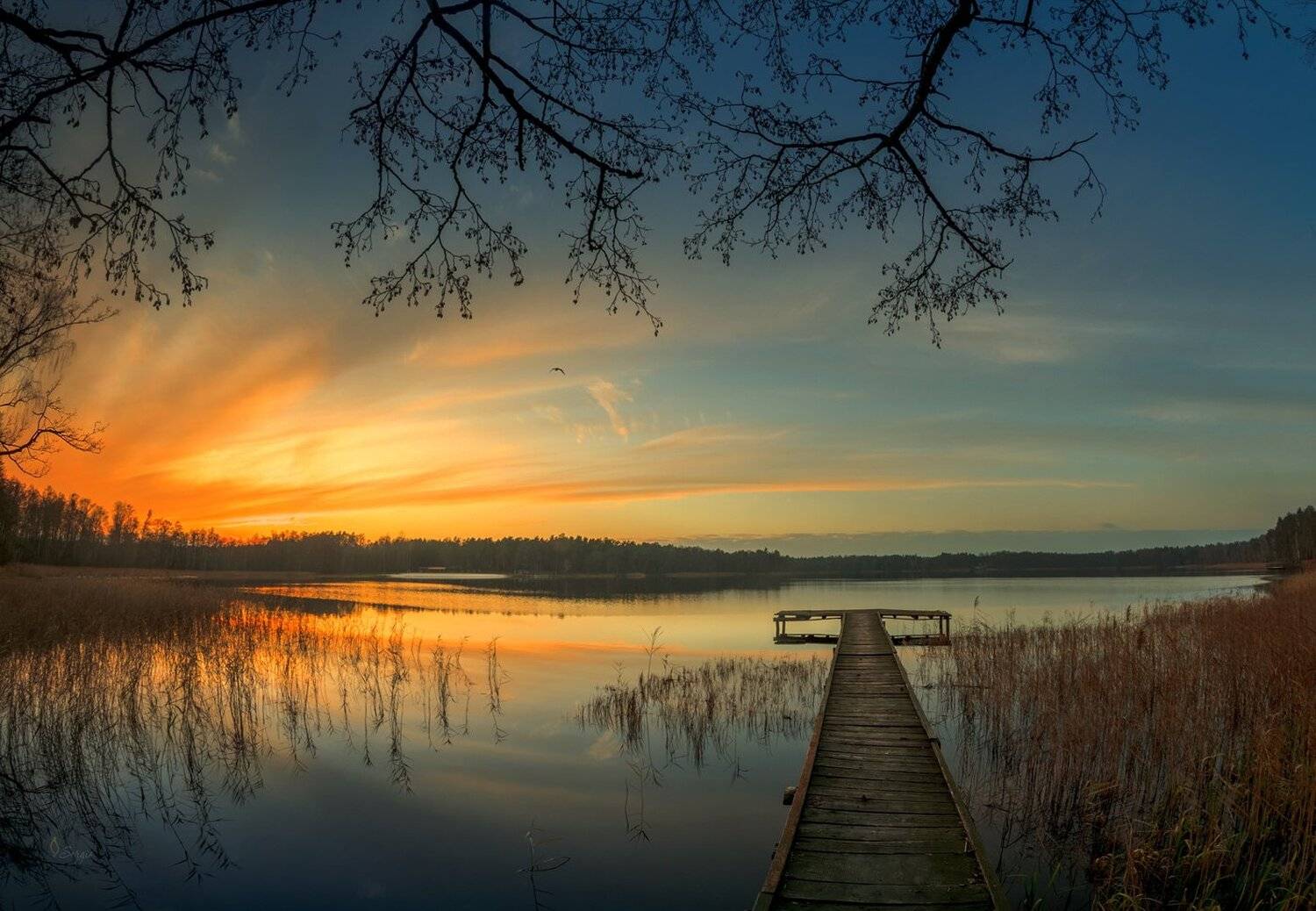 Беларусь, Серж Домбровский