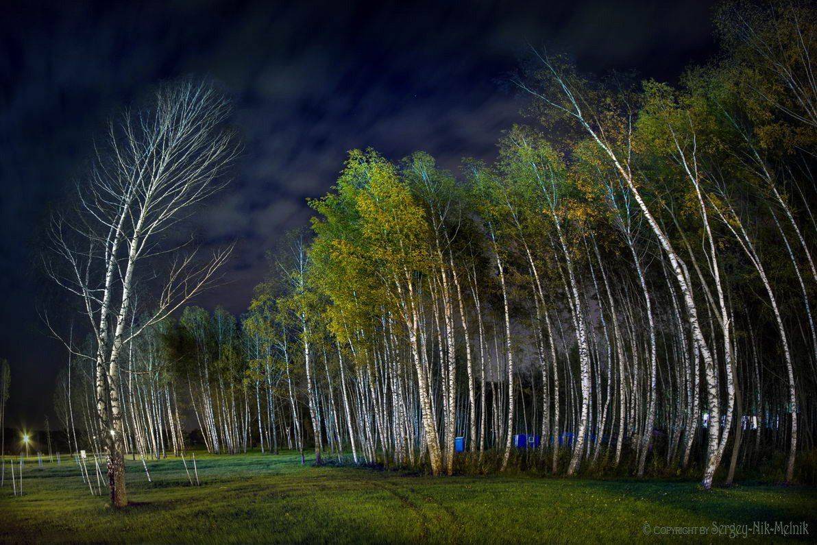 беларусь, город, минск, вечер, берёзы, фотосфера-минск, Melnik-oy Serg-N-
