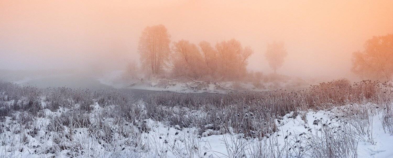 , Александр Пархоменко