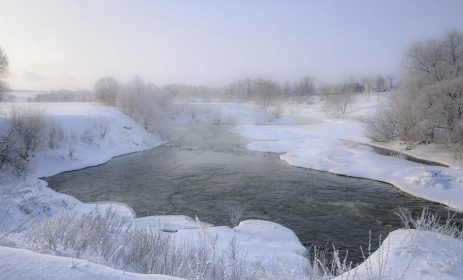 , Анатолий Зверев