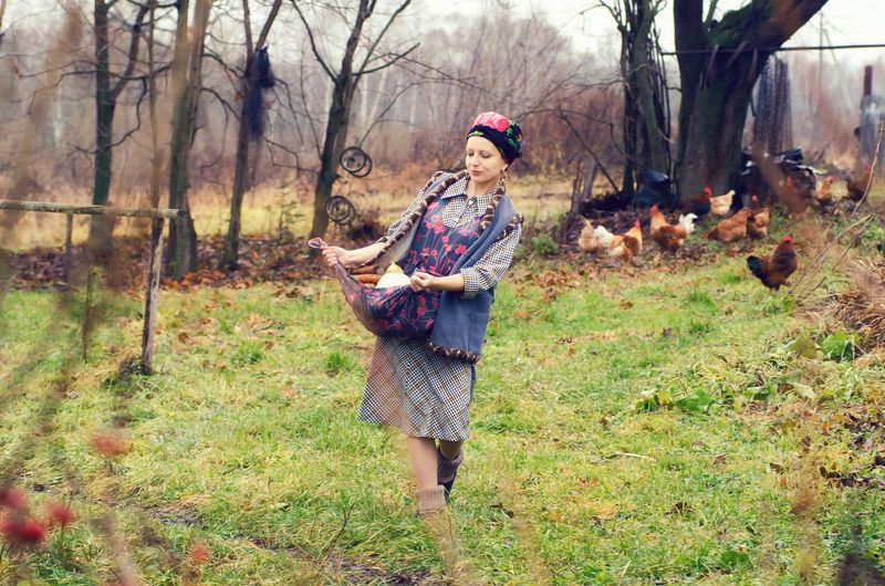 С погребки фото превью